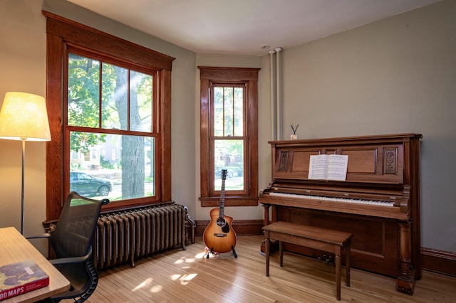 1043 Lincoln Ave, Saint Paul, MN 55105 - office with radiator, light wood-style flooring, and baseboards