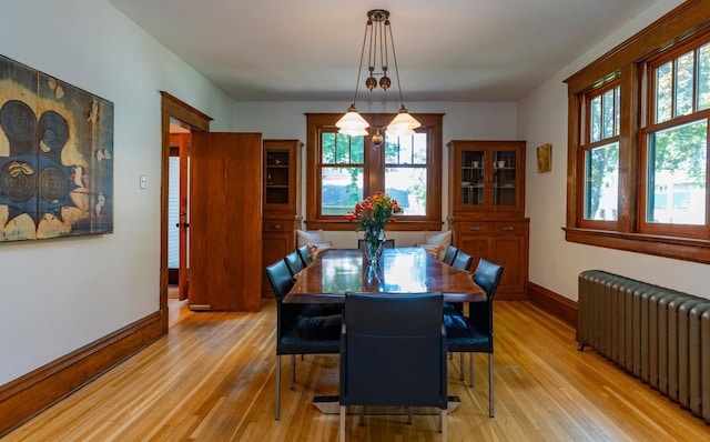 1043 Lincoln Ave, Saint Paul, MN 55105 - dining room with radiator, light wood-style flooring, and healthy amount of natural light
