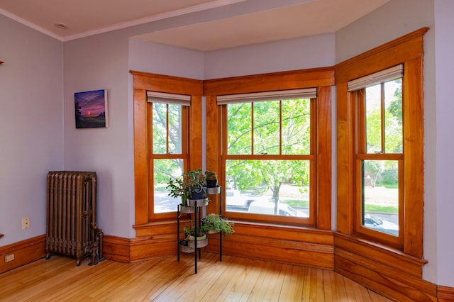 1043 Lincoln Ave, Saint Paul, MN 55105 - sitting room featuring radiator heating unit, light wood-type flooring, plenty of natural light, and ornamental molding