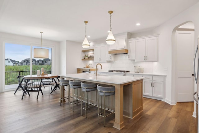 kitchen featuring an island with sink, light countertops, custom range hood, a sink, and backsplash