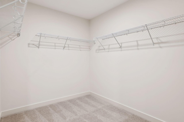 walk in closet with light colored carpet