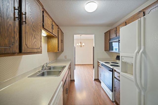 kitchen with a sink, light wood finished floors, white appliances, light countertops, and a textured ceiling
