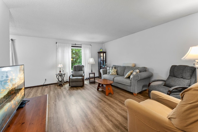 216 Richard Ave SE, Isanti, MN 55040 - living room with wood finished floors, a textured ceiling, and baseboards