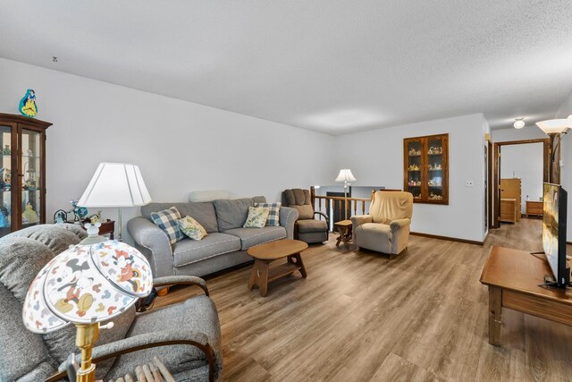 216 Richard Ave SE, Isanti, MN 55040 - living area with light wood finished floors, baseboards, and a textured ceiling