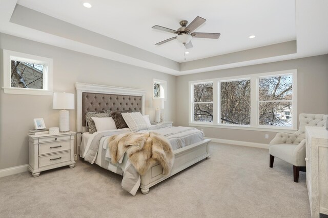 3175 Winfield Way SW, Prior Lake, MN 55372 - bedroom with baseboards, a tray ceiling, and light carpet