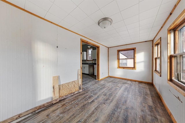 107 6th Ave SE, Waseca, MN 56093 - empty room featuring wooden walls and wood finished floors