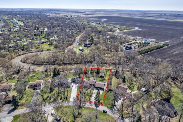 bird's eye view
