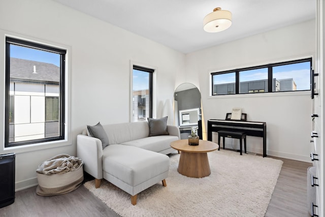 living area featuring baseboards, wood finished floors, and a healthy amount of sunlight