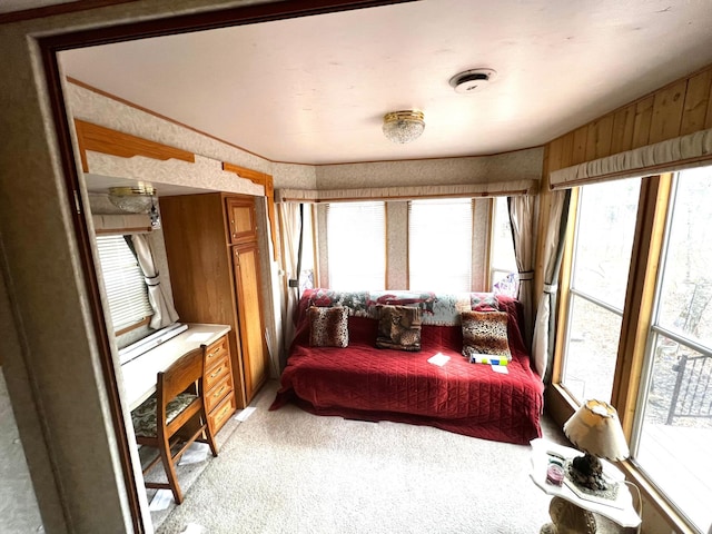 bedroom with light carpet and multiple windows