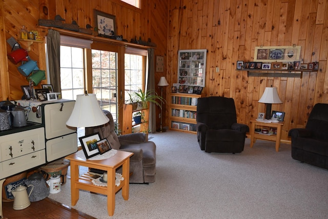 30472 Lightning Pass Unit 1, Turtle Creek Twp, MN 56443 - carpeted living area with wood walls and plenty of natural light