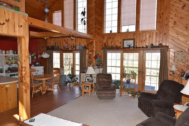 30472 Lightning Pass Unit 1, Turtle Creek Twp, MN 56443 - living area with a healthy amount of sunlight, a high ceiling, and wood walls