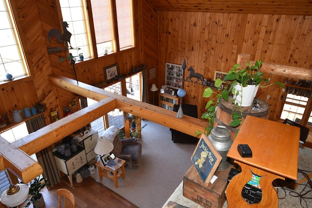 30472 Lightning Pass Unit 1, Turtle Creek Twp, MN 56443 - living room featuring wooden walls
