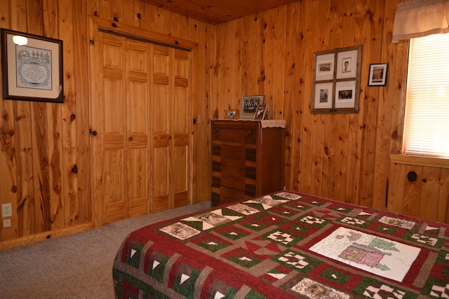30472 Lightning Pass Unit 1, Turtle Creek Twp, MN 56443 - carpeted bedroom featuring wood walls