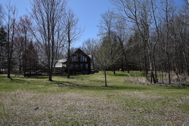 30472 Lightning Pass Unit 1, Turtle Creek Twp, MN 56443 - view of yard