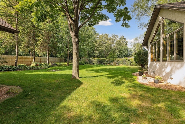 1055 Nelson Dr, Shoreview, MN 55126 - view of yard