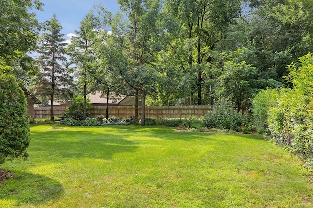 1055 Nelson Dr, Shoreview, MN 55126 - view of yard