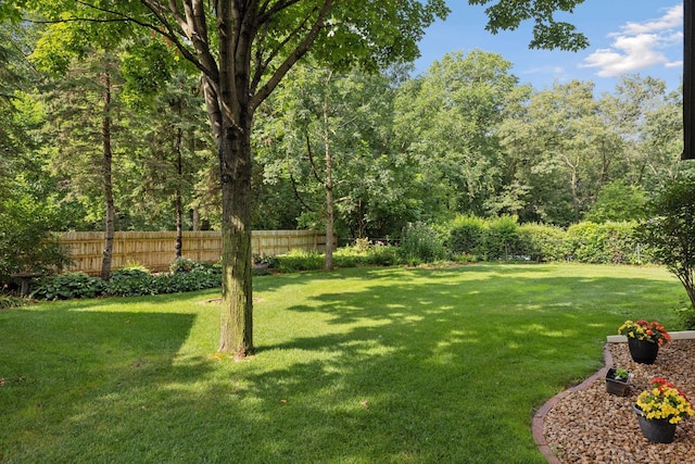 1055 Nelson Dr, Shoreview, MN 55126 - view of yard