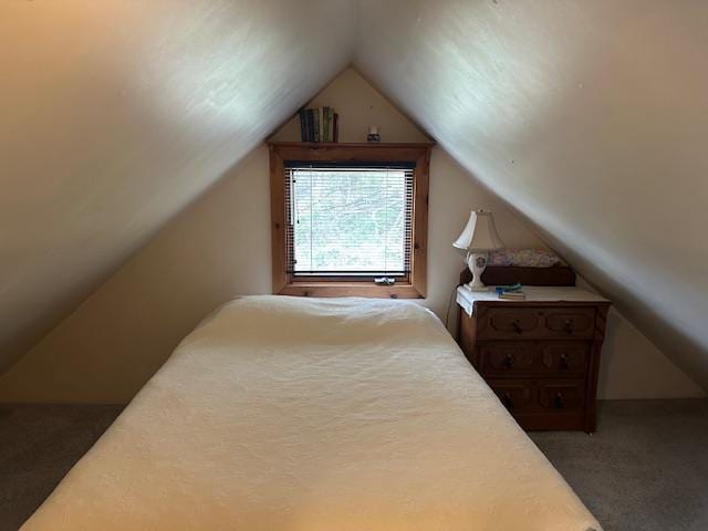 9700 Aspen Ave NW, Bemidji, MN 56601 - carpeted bedroom with lofted ceiling