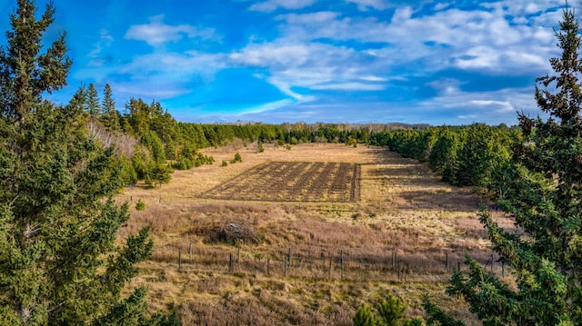 9700 Aspen Ave NW, Bemidji, MN 56601 - view of landscape with a rural view