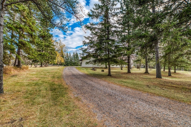 9700 Aspen Ave NW, Bemidji, MN 56601 - view of road featuring driveway