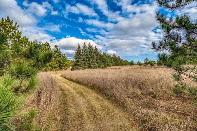 9700 Aspen Ave NW, Bemidji, MN 56601 - view of local wilderness