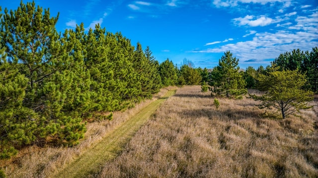 9700 Aspen Ave NW, Bemidji, MN 56601 - view of local wilderness