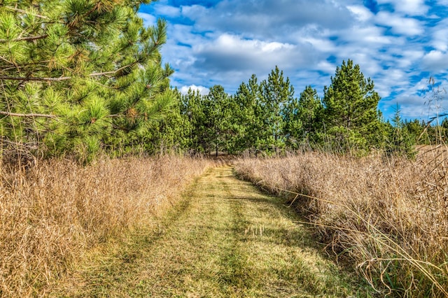9700 Aspen Ave NW, Bemidji, MN 56601 - view of nature