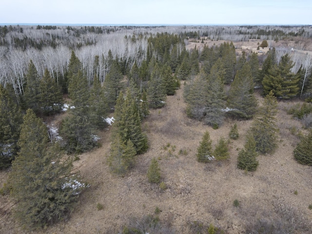 TBD Lund Rd E, Maple Twp, WI 54854