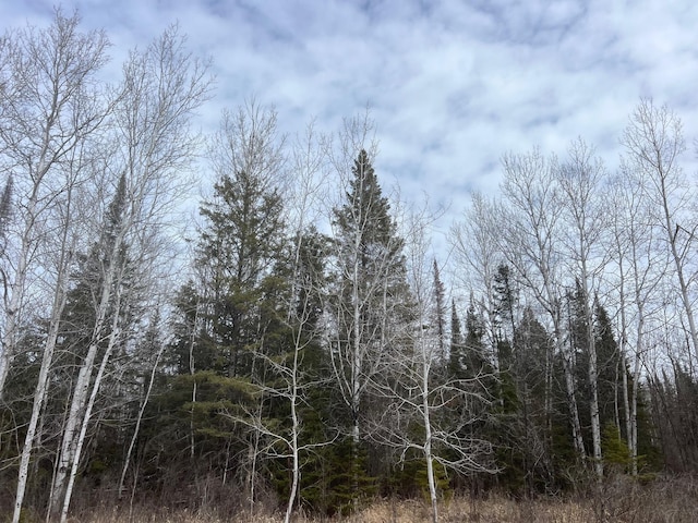 TBD Lund Rd E, Maple Twp, WI 54854