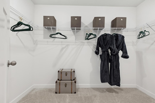 spacious closet featuring carpet flooring