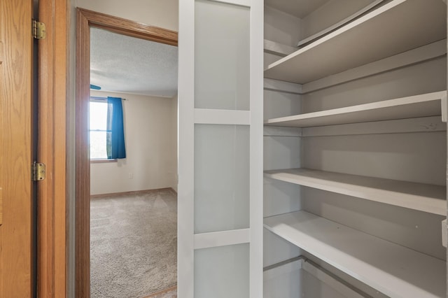 view of pantry
