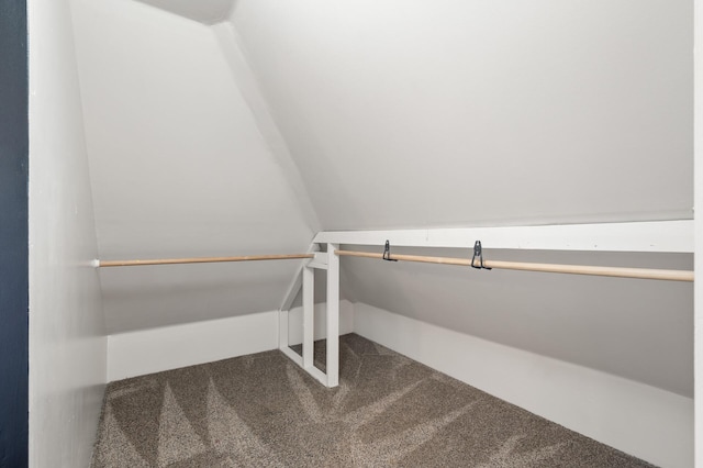 spacious closet with carpet