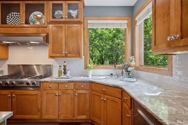 4970 Yuma Ct N, Plymouth, MN 55446 - kitchen with a sink, extractor fan, tasteful backsplash, appliances with stainless steel finishes, and light stone countertops