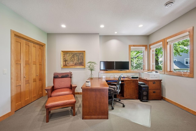 4970 Yuma Ct N, Plymouth, MN 55446 - office space with light carpet, baseboards, recessed lighting, and a textured ceiling