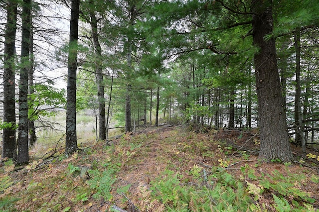 28457 Johnson Lake Rd, Webster, WI 54893 - photo 7