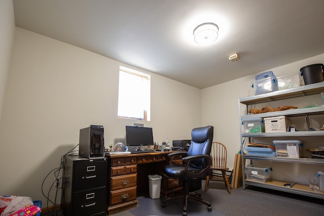 office area featuring carpet flooring