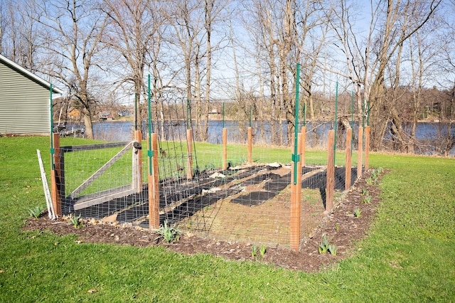 view of yard featuring fence and a vegetable garden