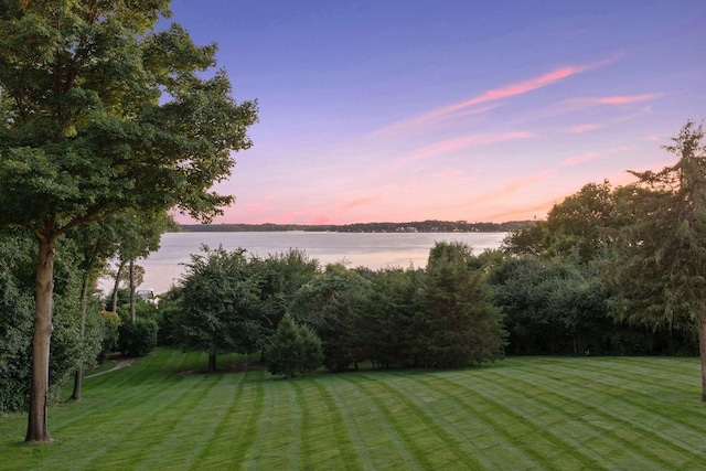 1510 Green Trees Rd, Orono, MN 55391 - view of yard with a water view