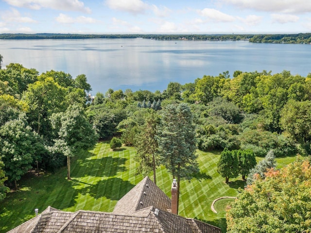 1510 Green Trees Rd, Orono, MN 55391 - bird's eye view with a water view