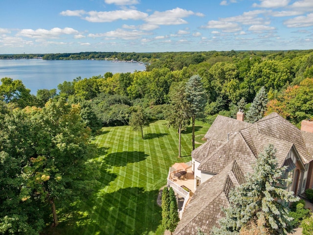 1510 Green Trees Rd, Orono, MN 55391 - aerial view featuring a water view and a view of trees