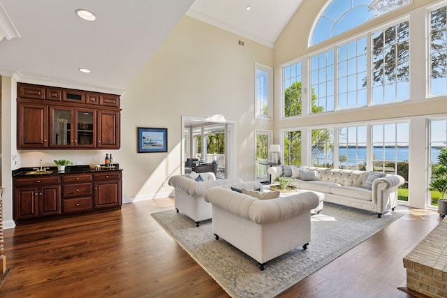 1510 Green Trees Rd, Orono, MN 55391 - living area with a water view, baseboards, high vaulted ceiling, and dark wood finished floors