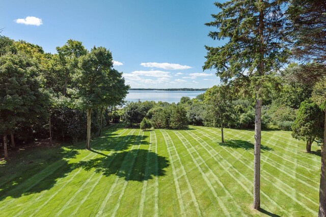 1510 Green Trees Rd, Orono, MN 55391 - view of grassy yard featuring a water view