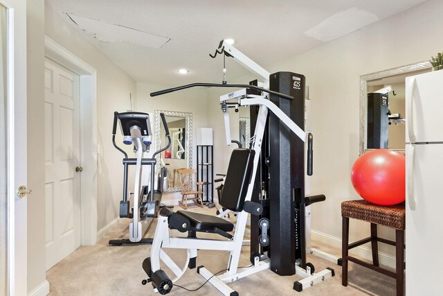 1510 Green Trees Rd, Orono, MN 55391 - workout room featuring carpet flooring, baseboards, and recessed lighting