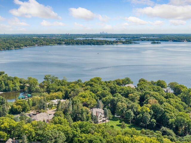 1510 Green Trees Rd, Orono, MN 55391 - aerial view of a large body of water
