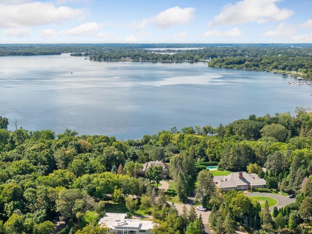 1510 Green Trees Rd, Orono, MN 55391 - aerial view of a heavily wooded area and a nearby body of water