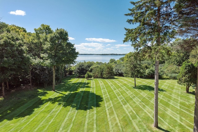 1510 Green Trees Rd, Orono, MN 55391 - view of green lawn featuring a water view