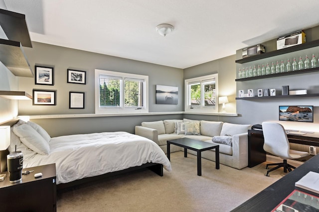 1510 Green Trees Rd, Orono, MN 55391 - bedroom featuring multiple windows, a desk, and carpet