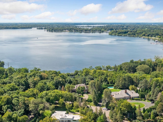 1510 Green Trees Rd, Orono, MN 55391 - bird's eye view of a forest and a nearby body of water