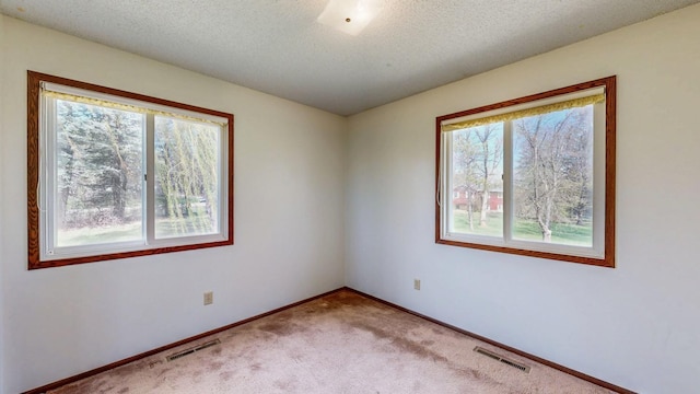 carpeted spare room featuring plenty of natural light, baseboards, and a textured ceiling