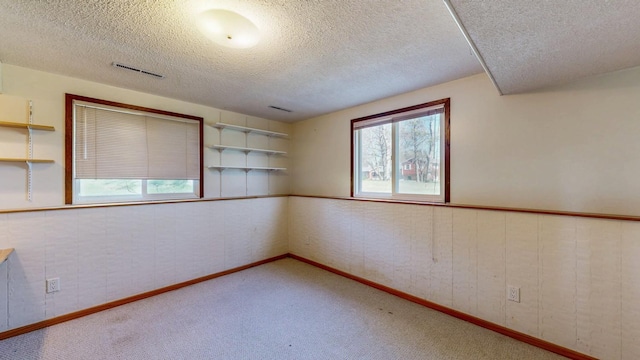 spare room with plenty of natural light, a textured ceiling, carpet flooring, wainscoting, and baseboards